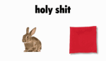 Lapin et carré rouge