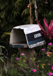 Boîte usée parmi les fleurs