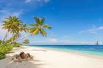 Homme dans le sable sur une plage tropicale