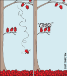 Feuilles rouges sur un arbre en deux cases
