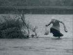 Personne près d’un buisson dans l’eau