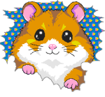 Hamster sur fond étoilé