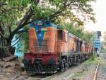 Locomotives diesel sous les arbres