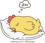 Poussin endormi sur un oreiller