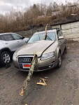 Voiture endommagée par une branche