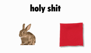 Lapin et carré rouge
