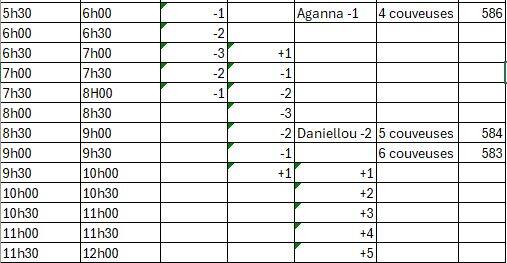 Tableau horaire avec valeurs et couveuses