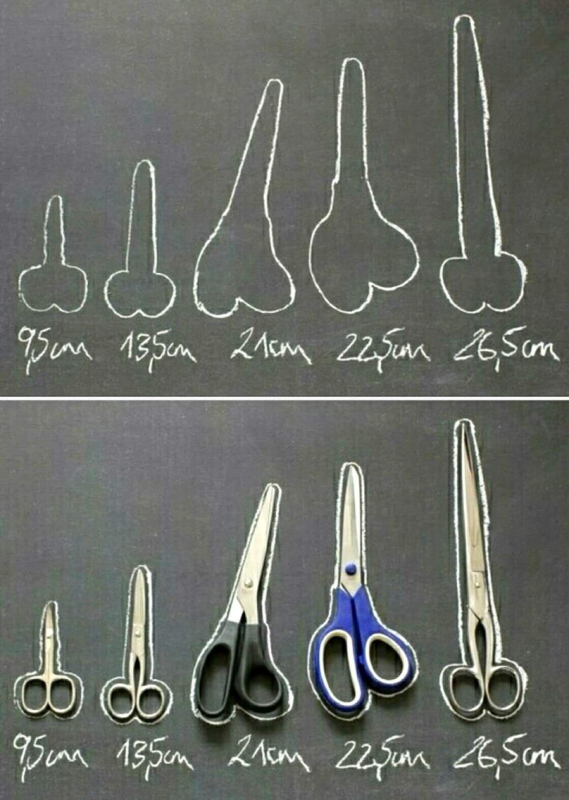 Cinq ciseaux de tailles différentes
