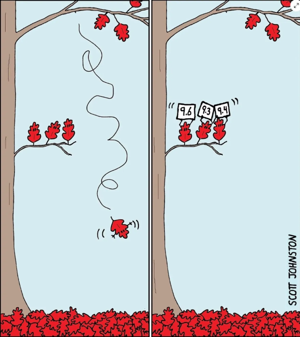 Feuilles rouges sur un arbre en deux cases