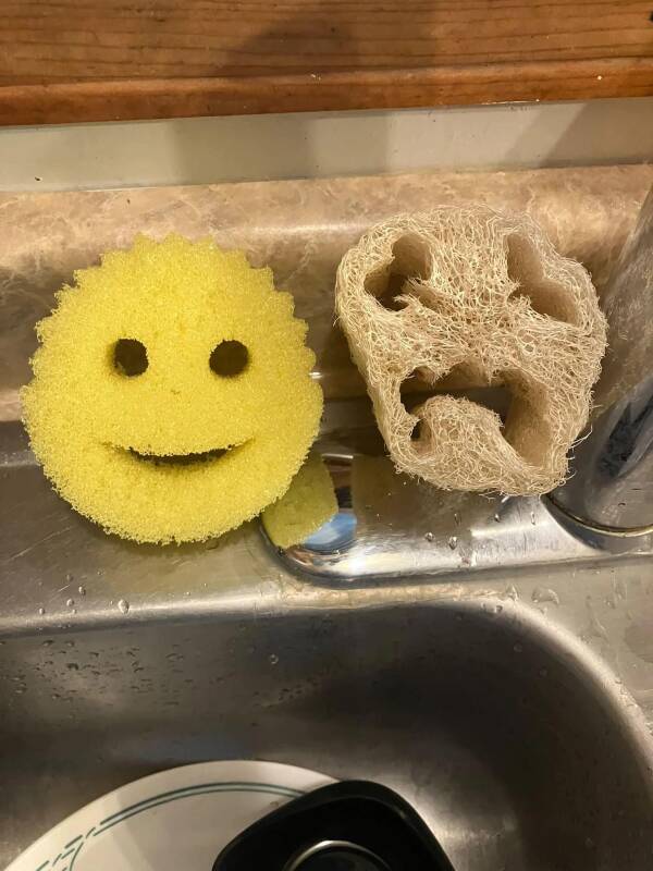 Deux éponges souriantes près d’un évier