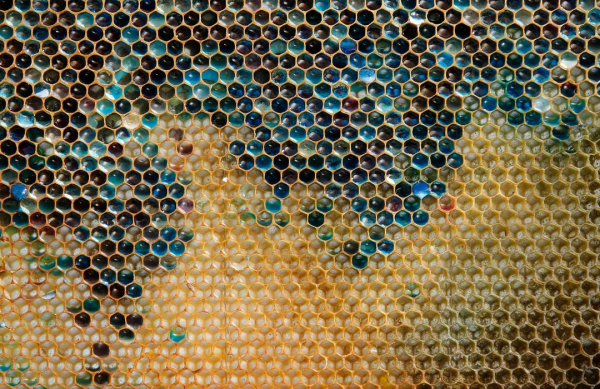Motif d’alvéoles colorées