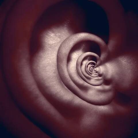 Oreille en spirale infinie