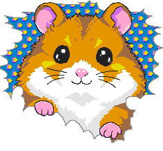 Hamster sur fond étoilé