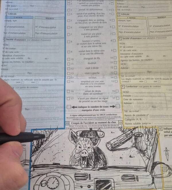 Croquis de sanglier sur un constat d’accident